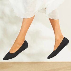 Pointed-Toe Ballet Flats (Aria 5°) SIZE 40
